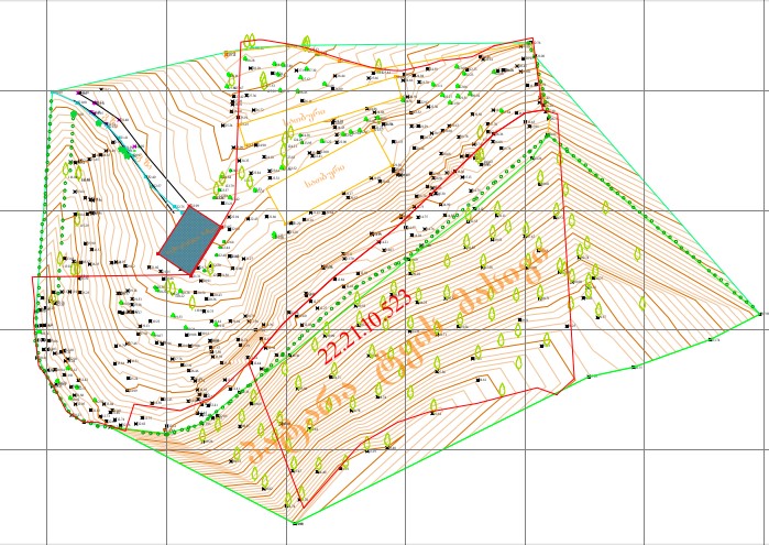 ტოპოგრაფიული გეგმა
