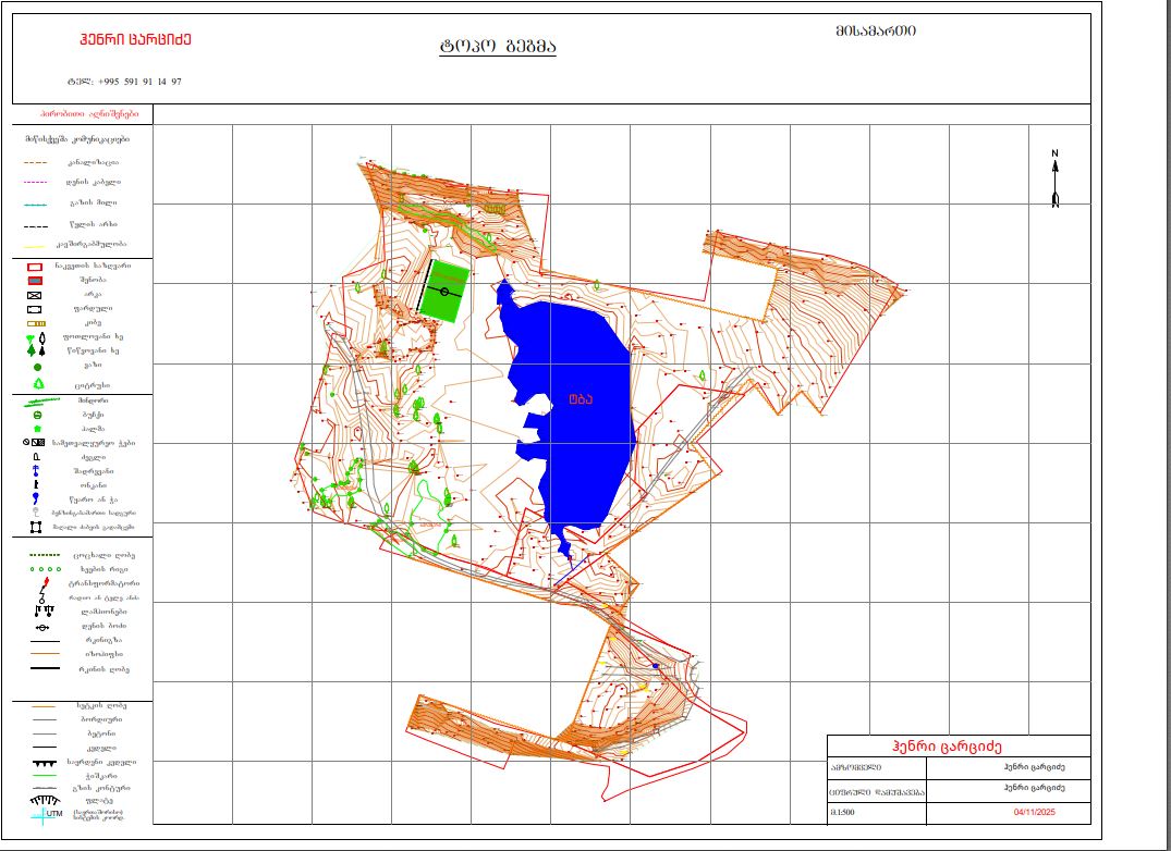 ტოპოგრაფიული გეგმა