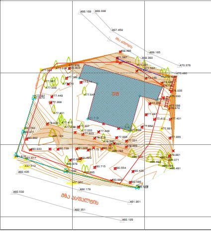 ტოპოგრაფიული გეგმა