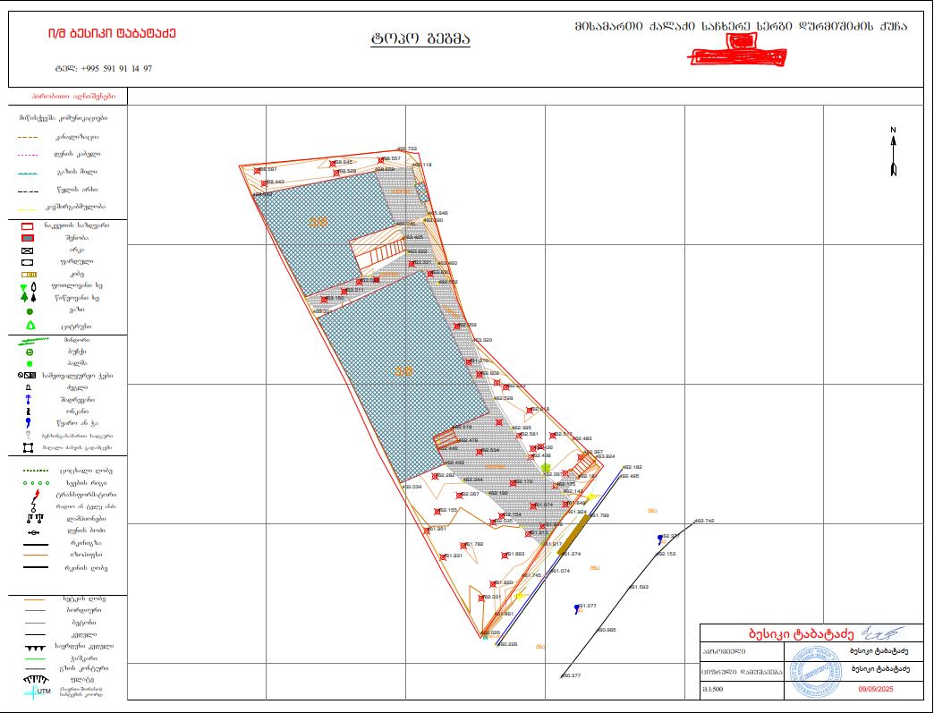 ტოპოგრაფიული გეგმა